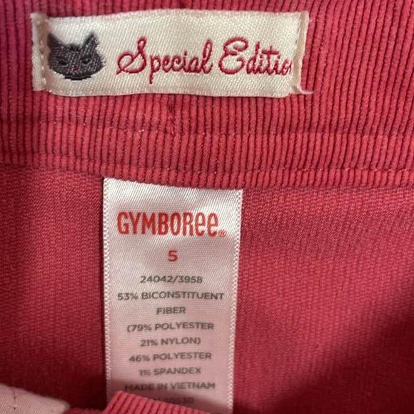 Gymboree Special Edition Pink Corduroy Skirt & THE BIRTHDAY GIRL tee CP - Picture 2 of 7